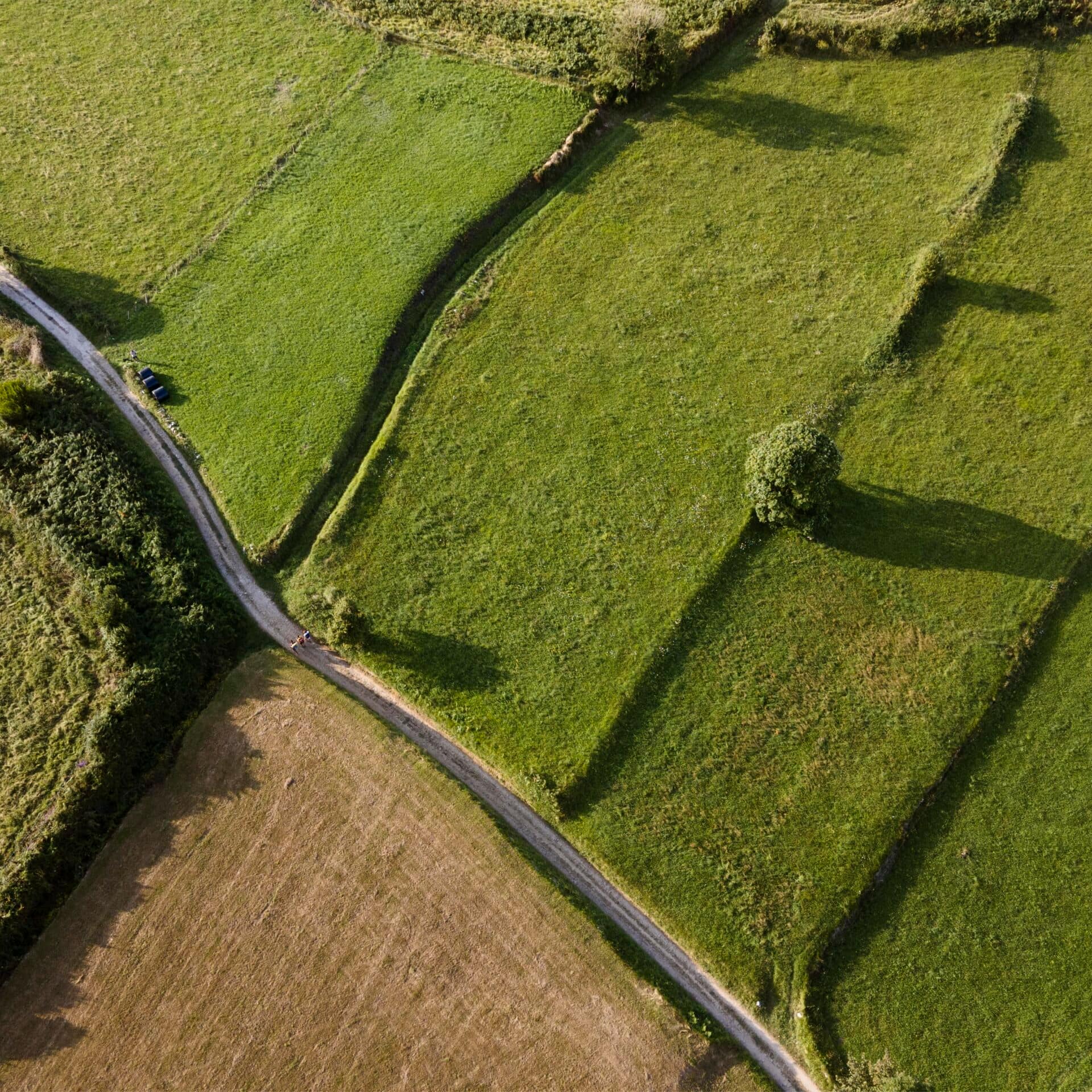 wlasciciele gruntow partnerzy